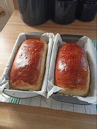 Homemade Sweet Bread